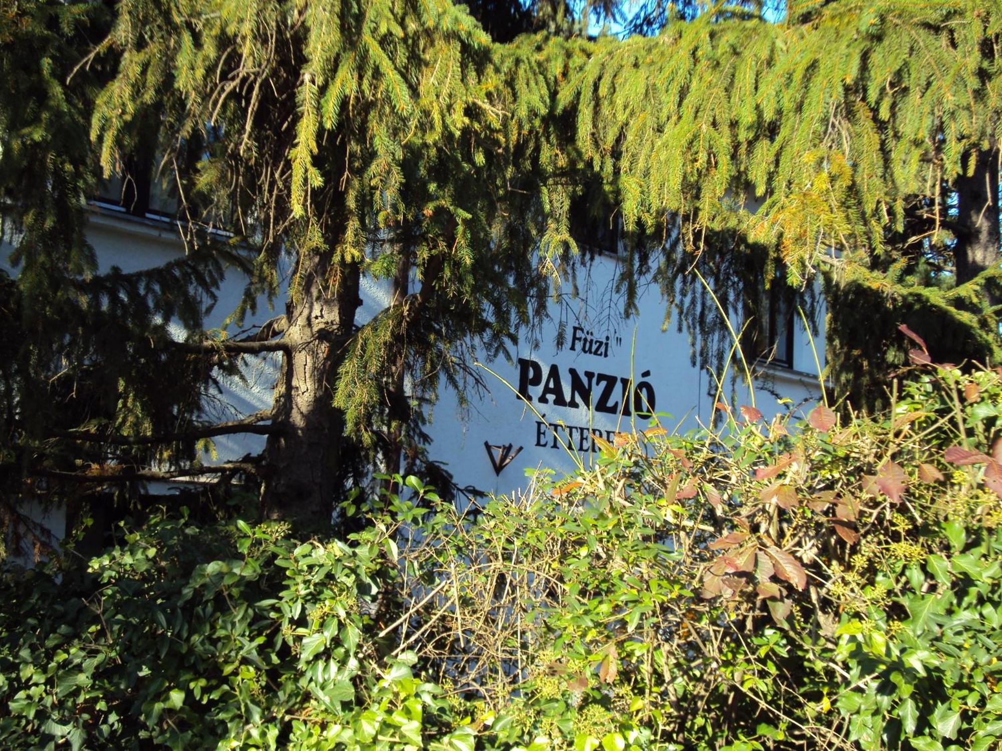 مبيت وإفطار شوبرون Fuezi Panzio المظهر الخارجي الصورة